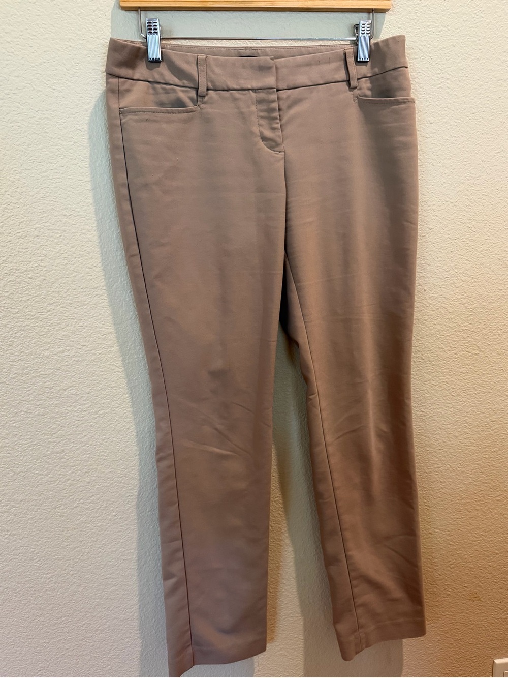 Express Columnist Pants in Taupe